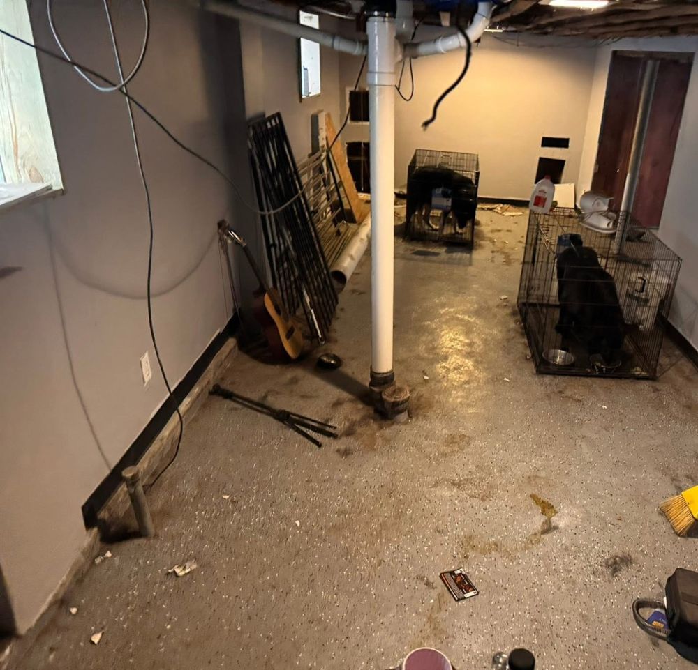 Basement before cleaning